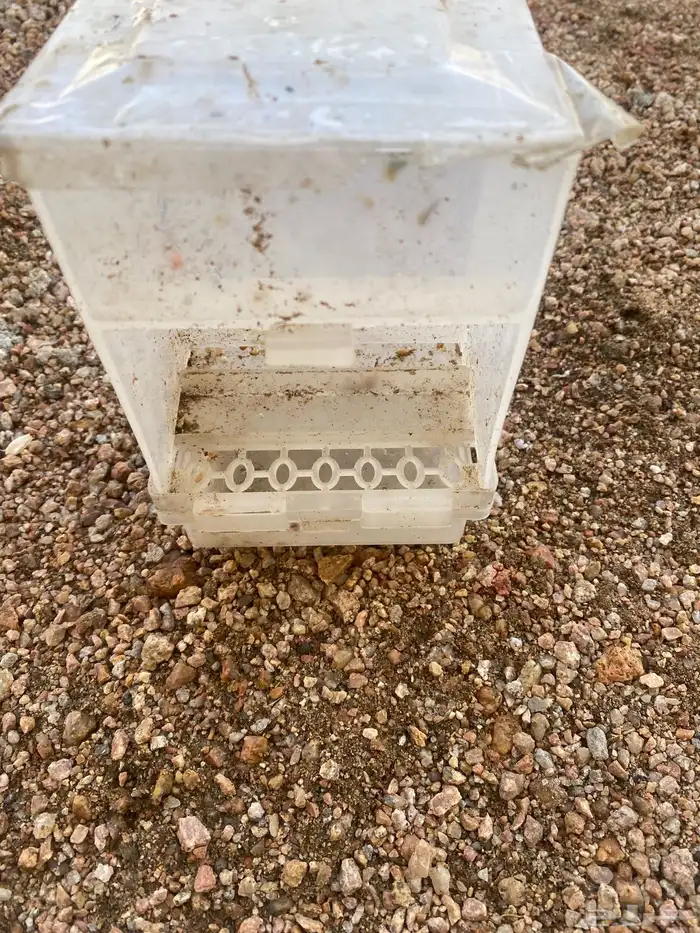 سقاية موية وطبق اكل للطيور 2