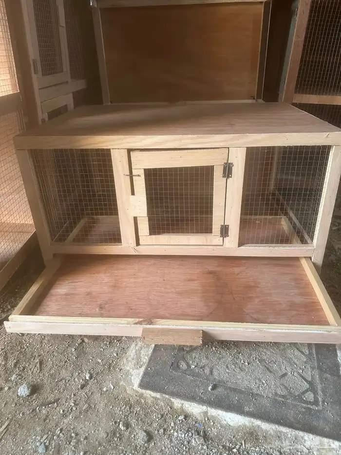 محاكر قفص 26