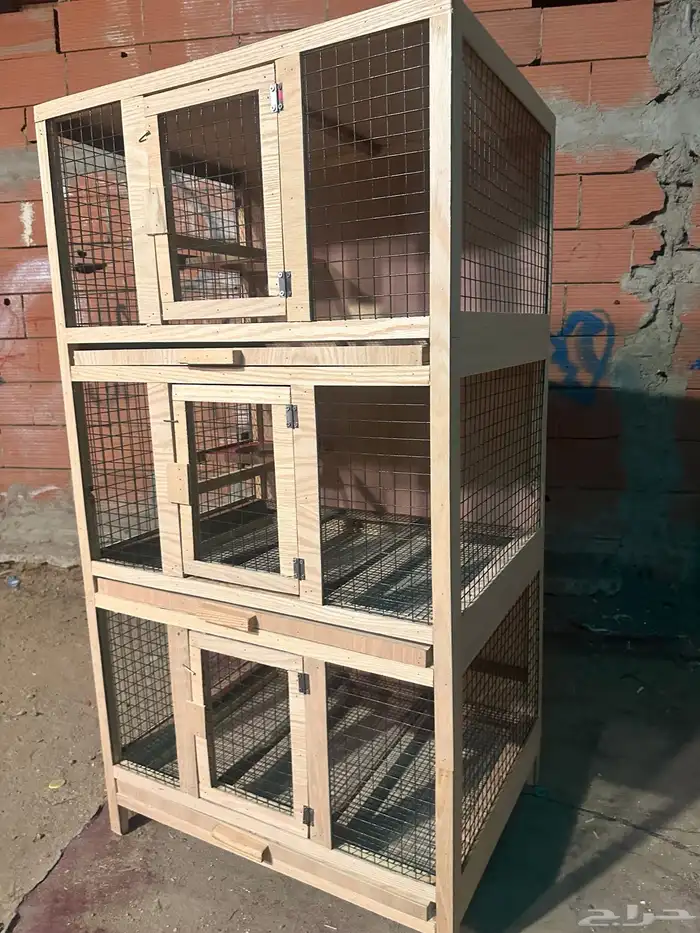 محاكر قفص 31