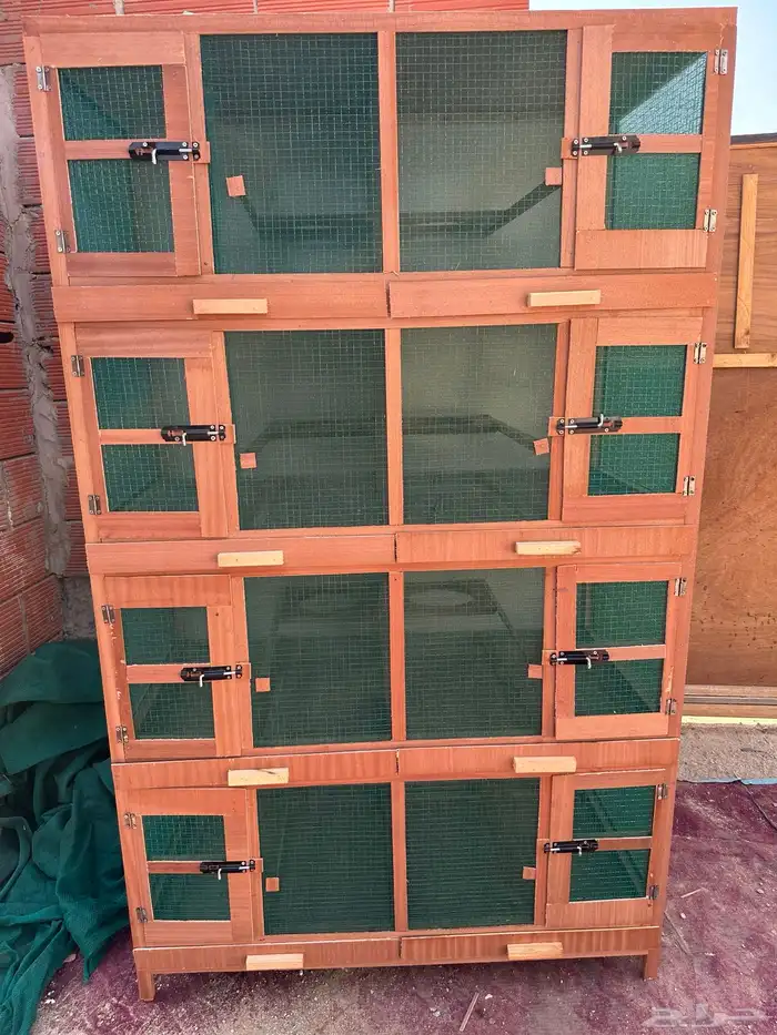 محاكر قفص 43