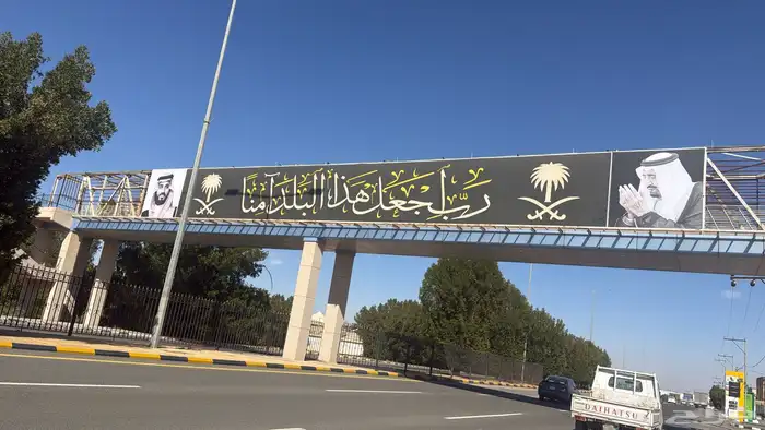 دعاية وإعلان 5