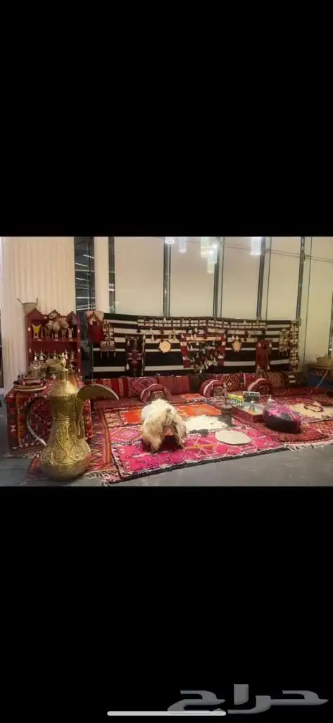 حفلات ومناسبات 13