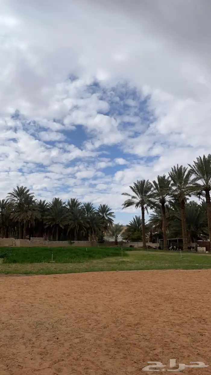 مزرعه للبيع بالبلد   7بيوت 6