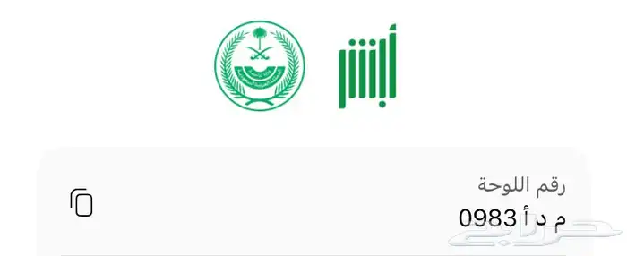 لوحة سيارة 1