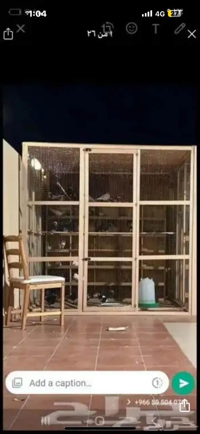 محاكر قفص 16