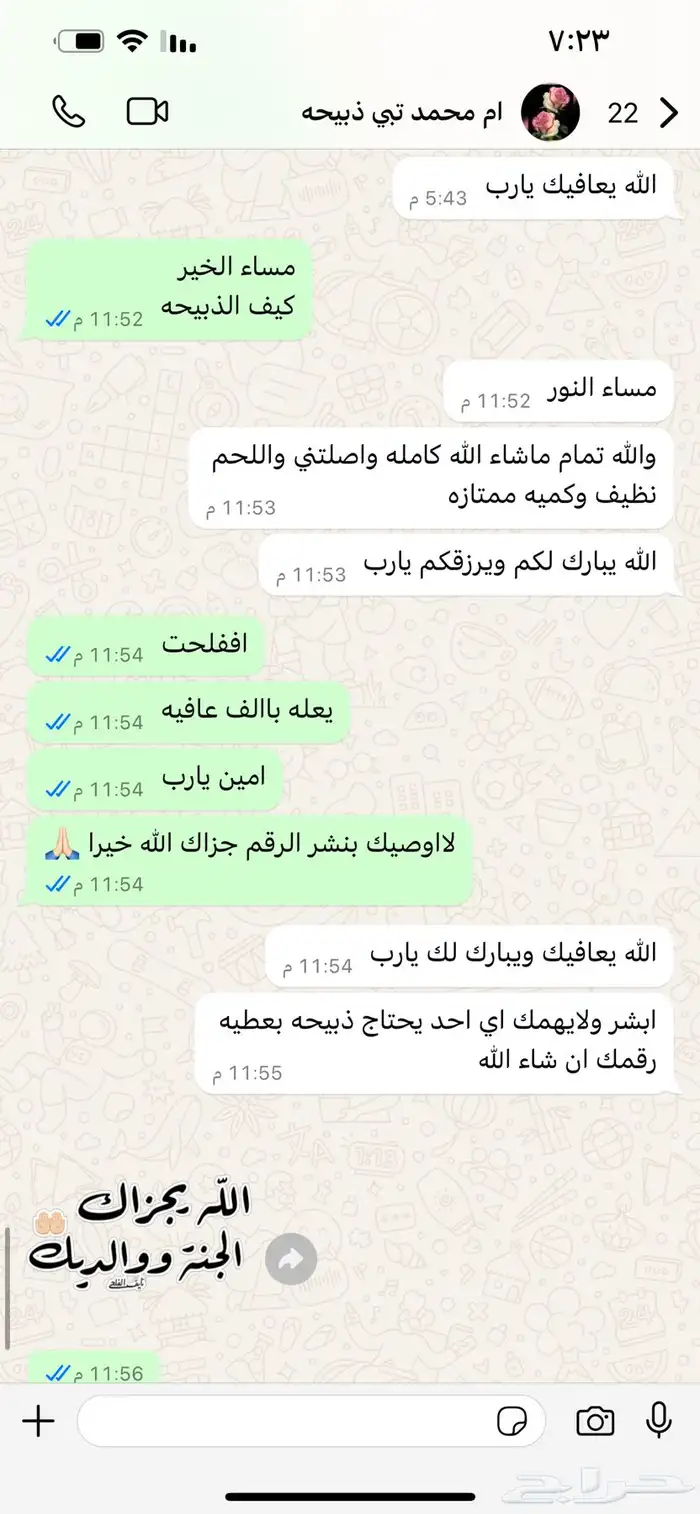 تيوس طليان 13