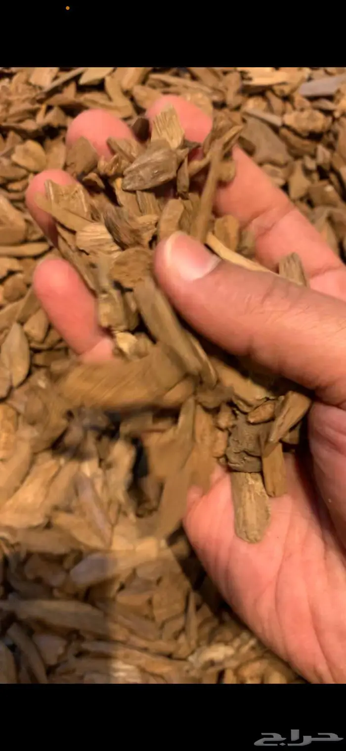 دقه مروكي سوبر واقل نكهه طيبه 0