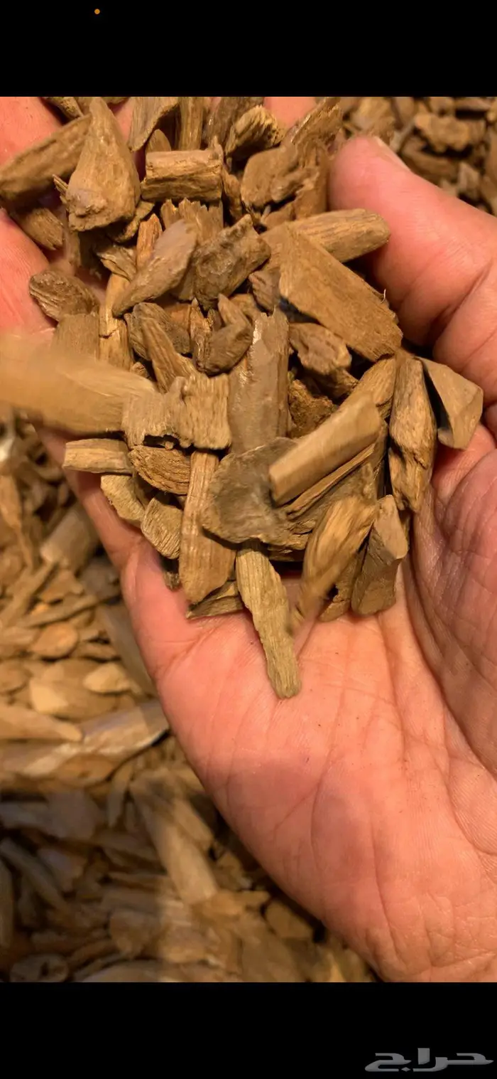 دقه مروكي سوبر واقل نكهه طيبه 2