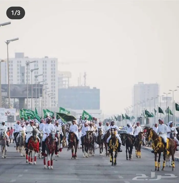 نوفر خيول وسياسي وجمال لجميع المناسبات والمحافل بالشرقية 2