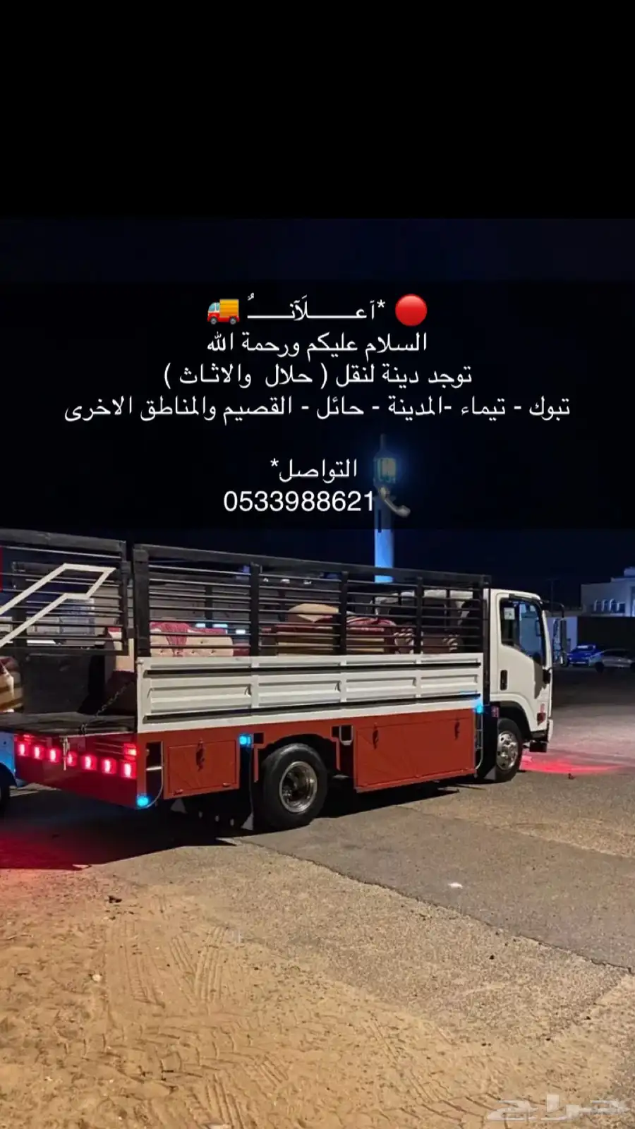 دينا شبك العلا المدينة تيماء 0