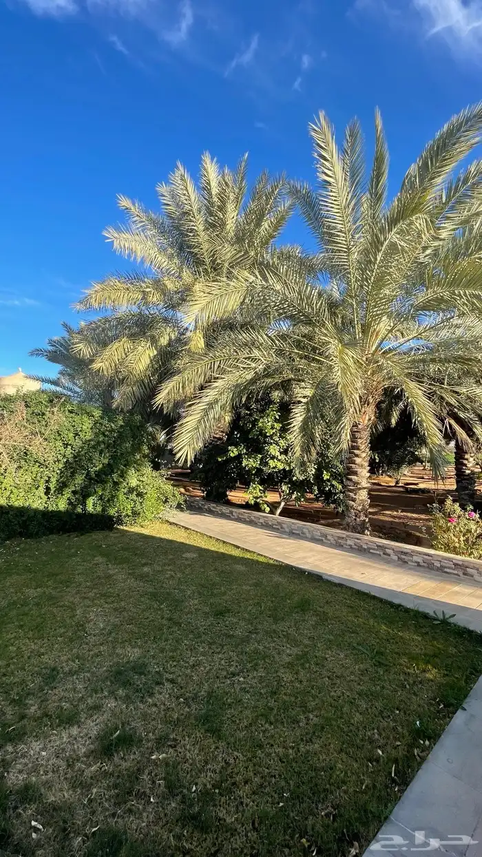 منتجع مزرعه شاليه استراحه للاجار بالقاعد الغربي 1