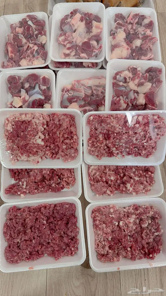 ذبايح حايل 9