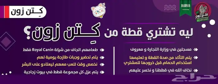 بكج غذاء القطط المتكامل - شامل الشحن و الضريبة و بالتقسيط 2