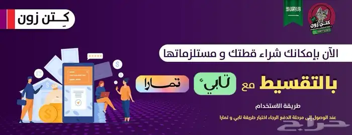 قطة سكوتش فولد للبيع - لون بلاك - يوجد دفع بالتقسيط 1