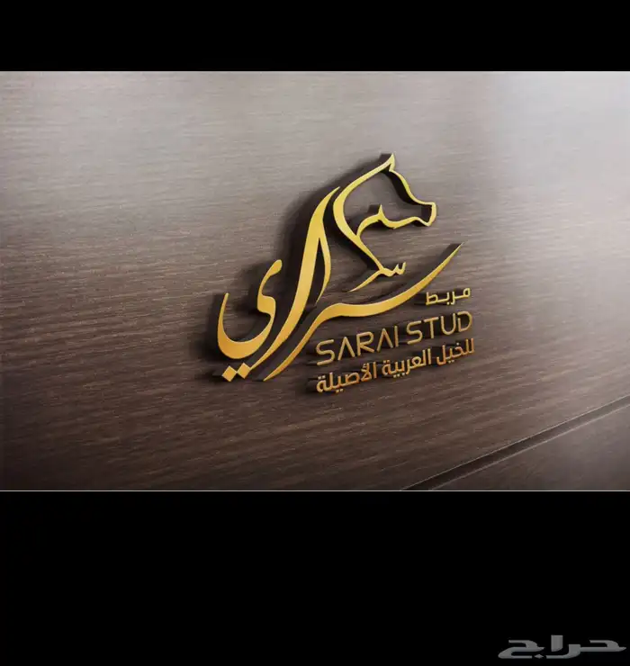 مصمم علامة تجارية وهويات تجارية ( شعارات ) 4