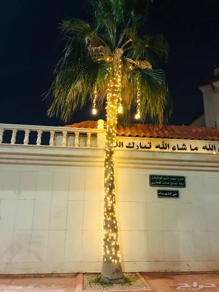 لمبات وعقود كويتي 5