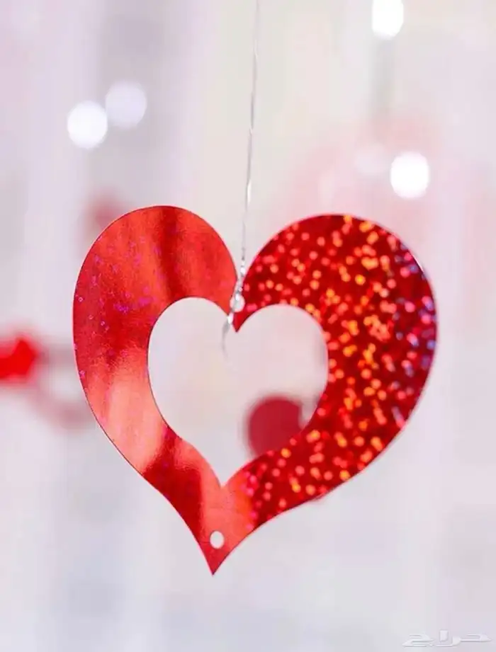 نجوم الليل طراطيع الثوم 3