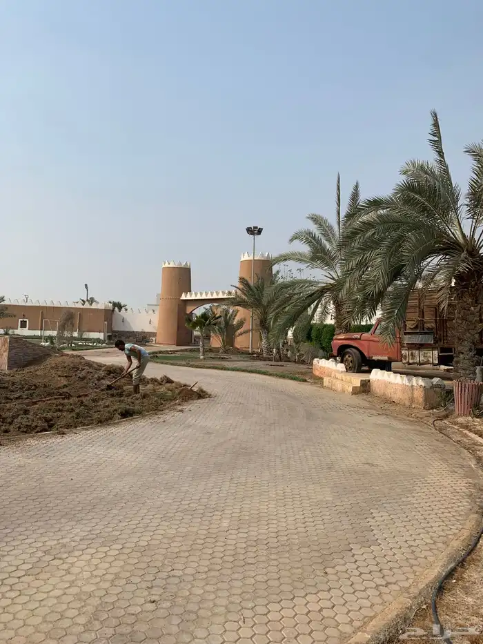 نجيل طبيعي او ثيل عشب اخضر 47