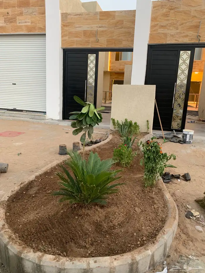 نجيل طبيعي او ثيل عشب اخضر 40
