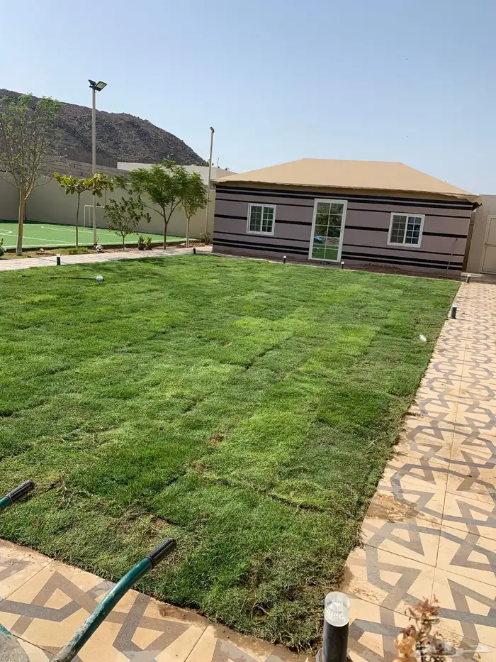 نجيل طبيعي او ثيل عشب اخضر 32