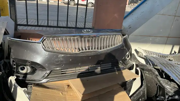 صدام كدنزا 2017-2019 0