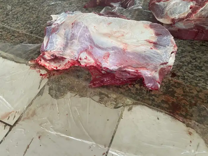 حسيل شركه بلدي خميس مشيط 11