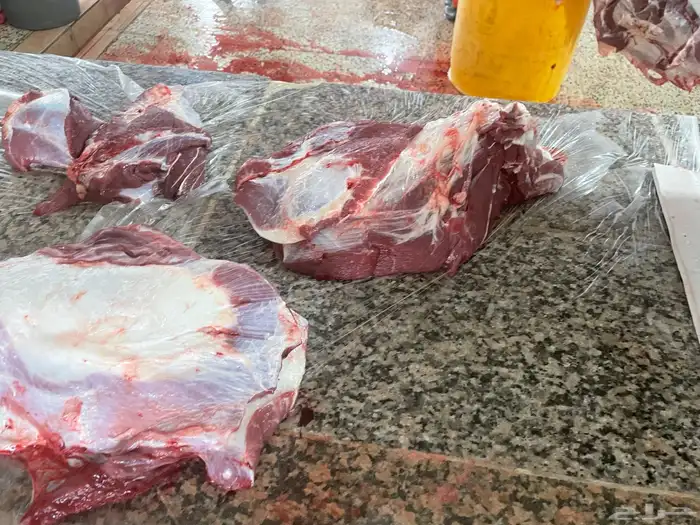 حسيل شركه بلدي خميس مشيط 12