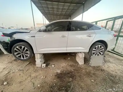تلسمان 12