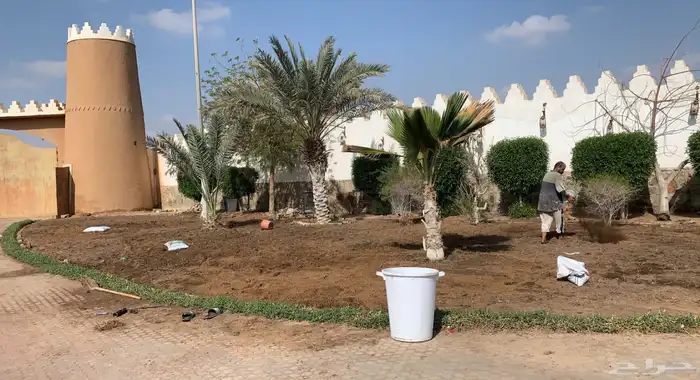 نجيل طبيعي او ثيل عشب اخضر 51