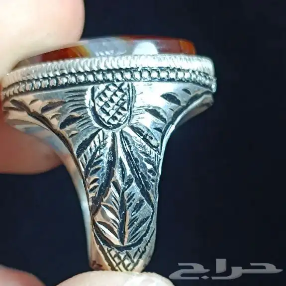 نوادر العقيق شبه الجزيرة 3