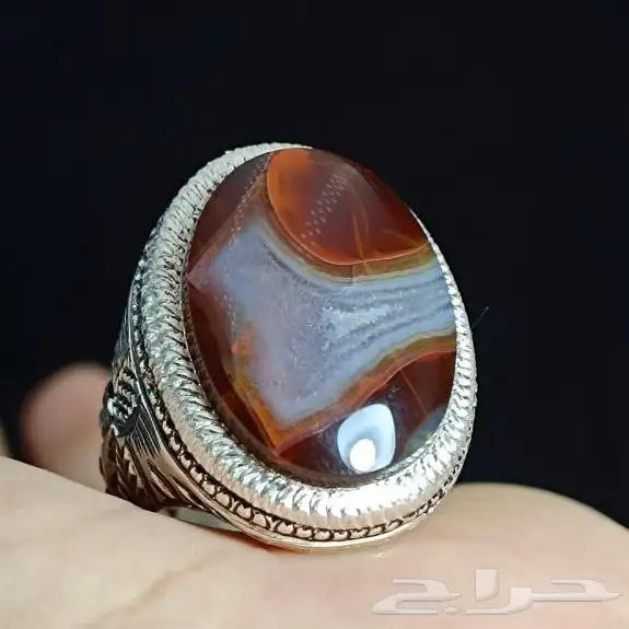 نوادر العقيق شبه الجزيرة 1