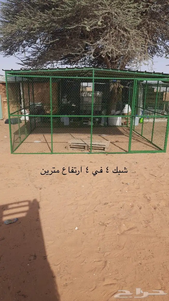 شبك دجاج شبك حمام شبك طيور شبوك حمام شبوك دجاج شبوك طيور 6