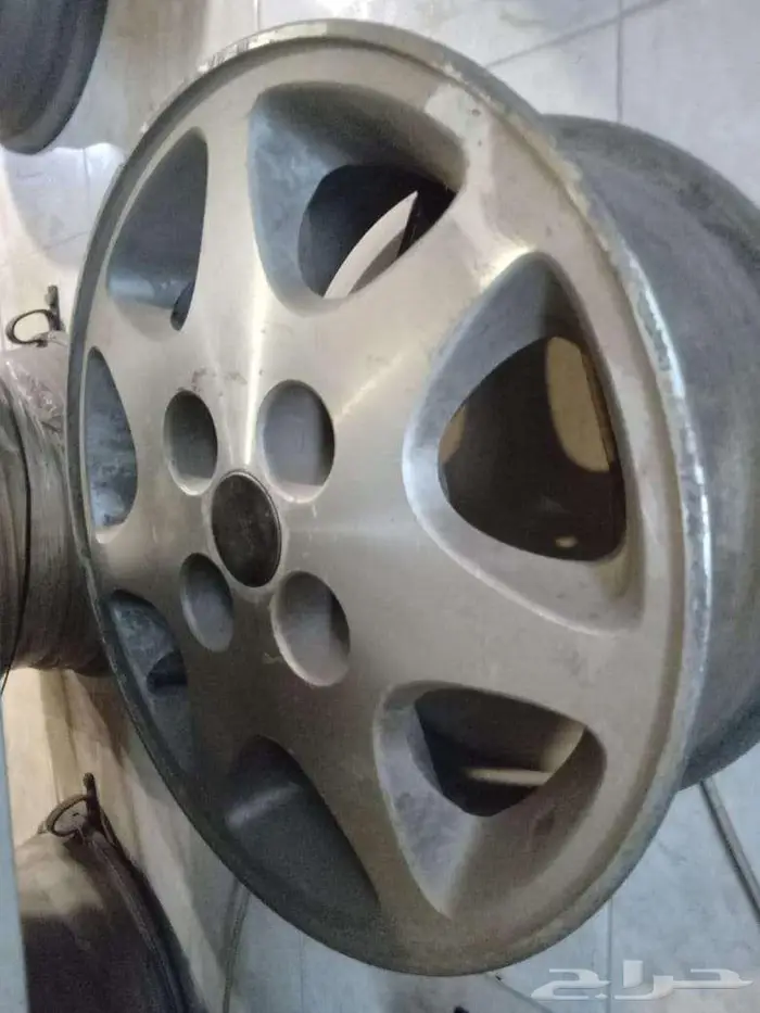 جنوط التيما نجمه 0