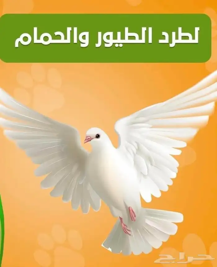 شركة رش مبيدات رش الصراصير عقود سنوية 1