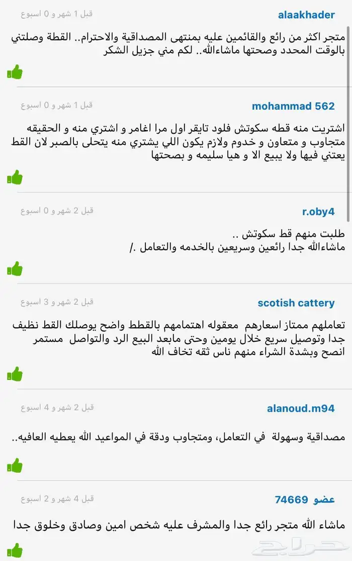 بوكس يجمع كل بكجات مستلزمات القطط بسعر خاص 6