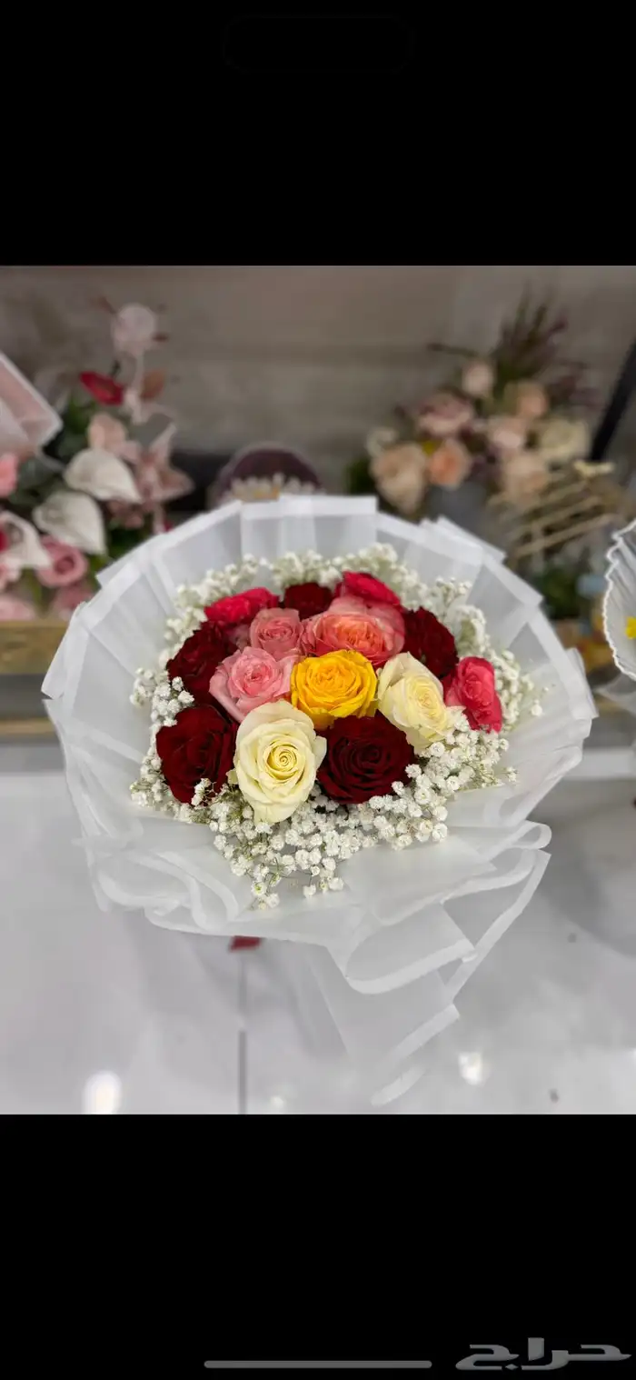 أزهار الاحساء 12