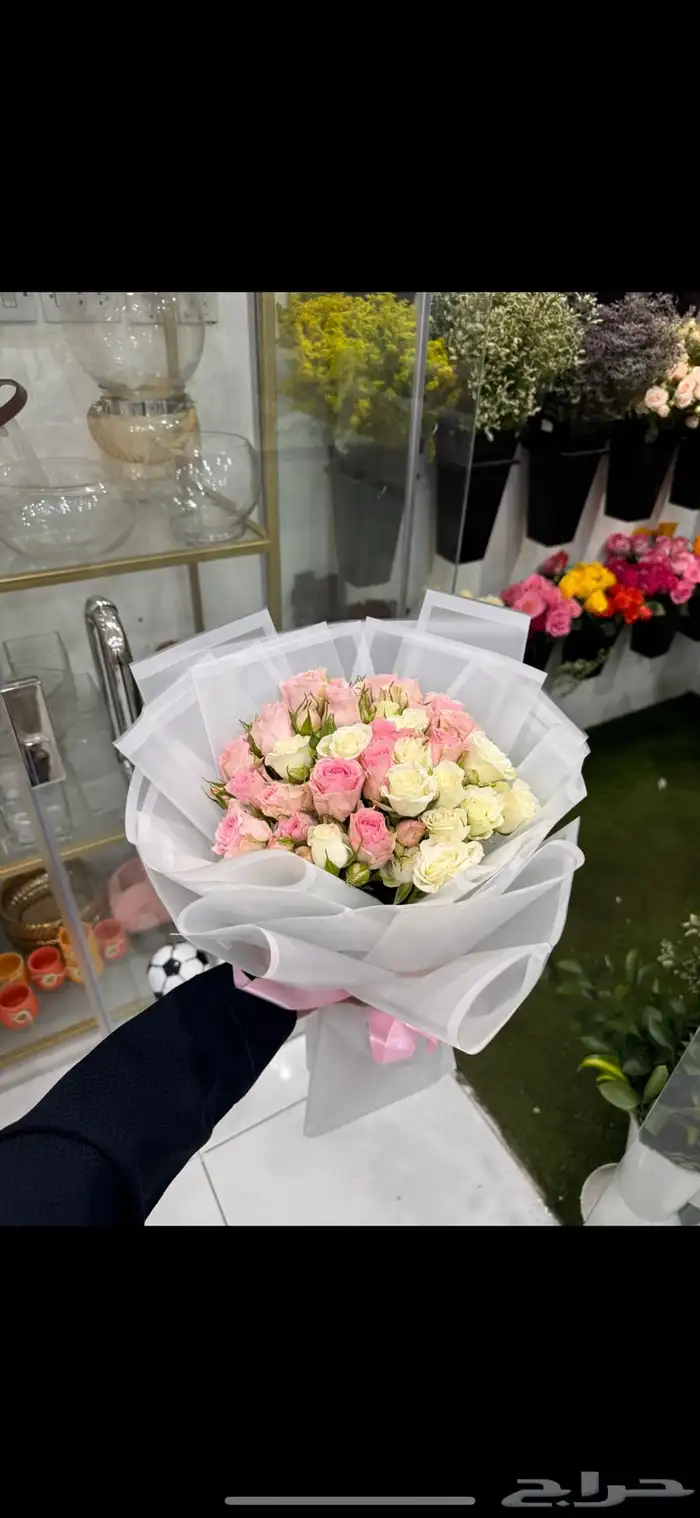 أزهار الاحساء 15