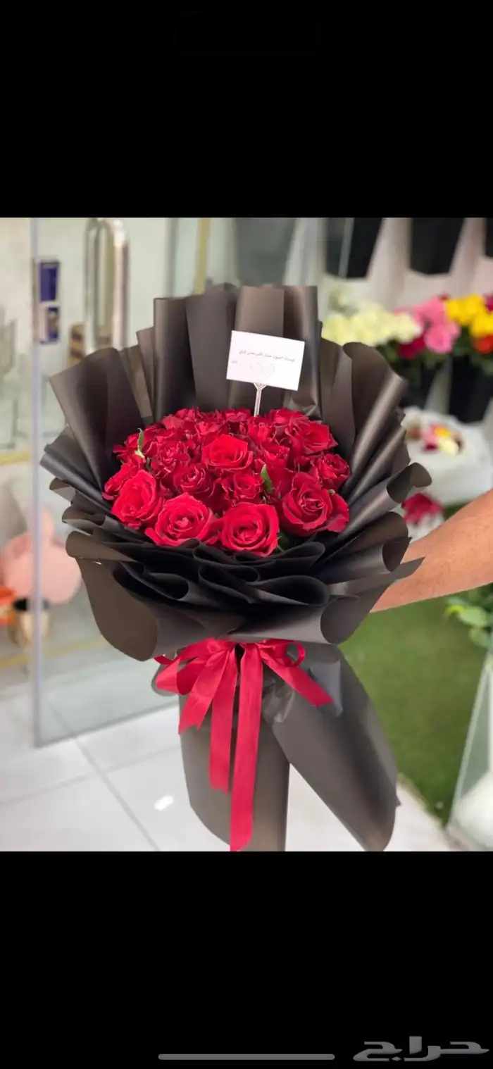 أزهار الاحساء 17