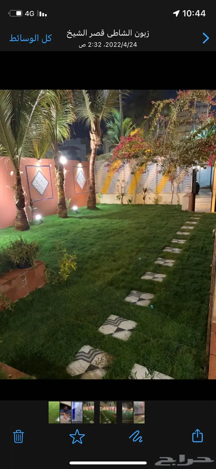 نجيل طبيعي او ثيل عشب اخضر 13