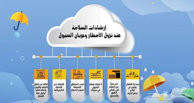 تصميم انفوجرافيك بوستات بوسترات ملخصات بجودة احترافية 4