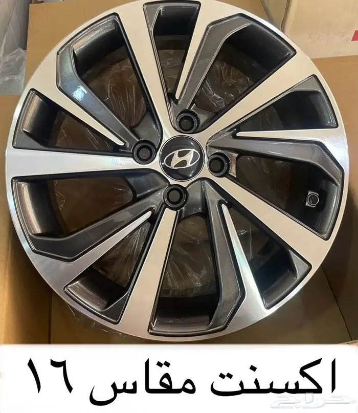 جنوط اكسنت 1