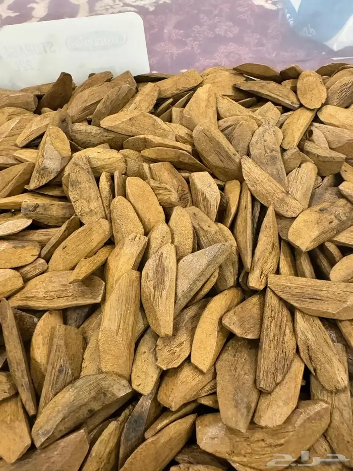 عود مروكي محسن فرصة 0