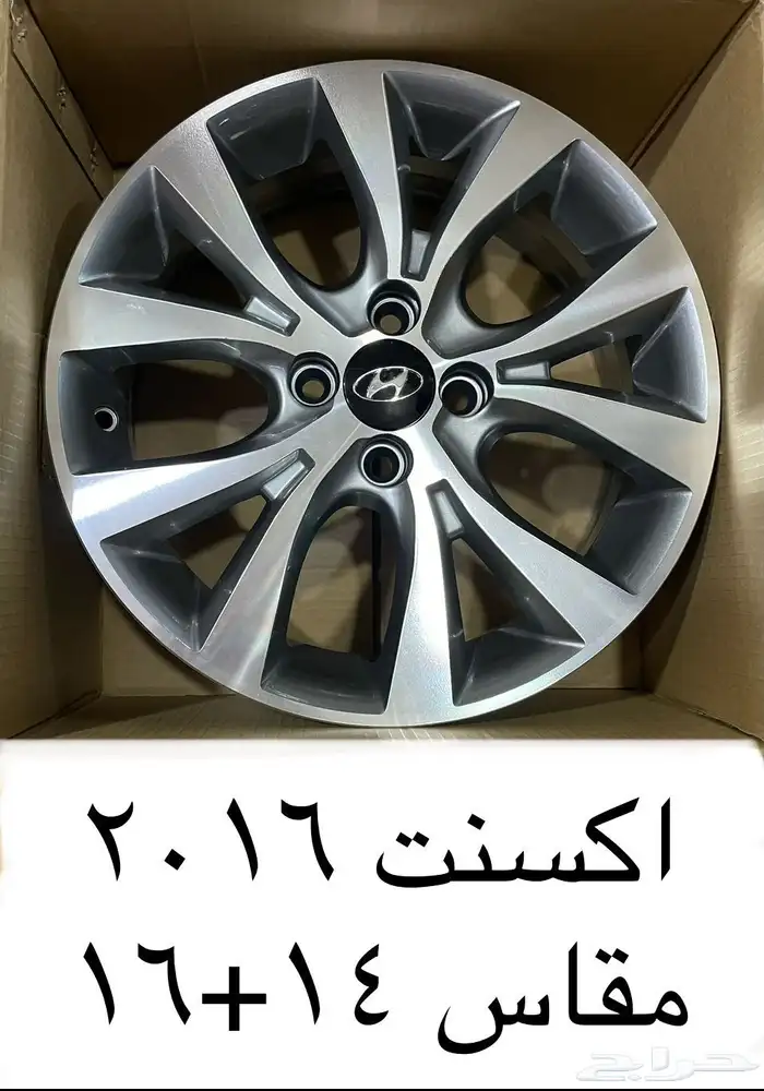 جنوط اكسنت 2