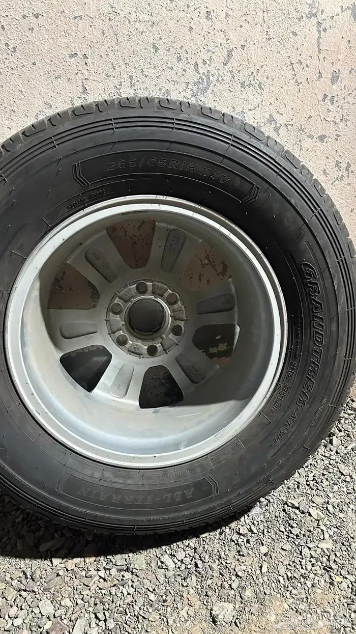 جنوط جي اكس ار 1