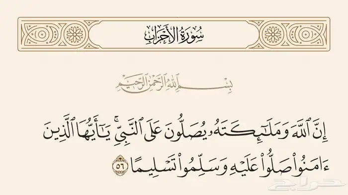 كداد من المدينه المنورة الى العلا 0