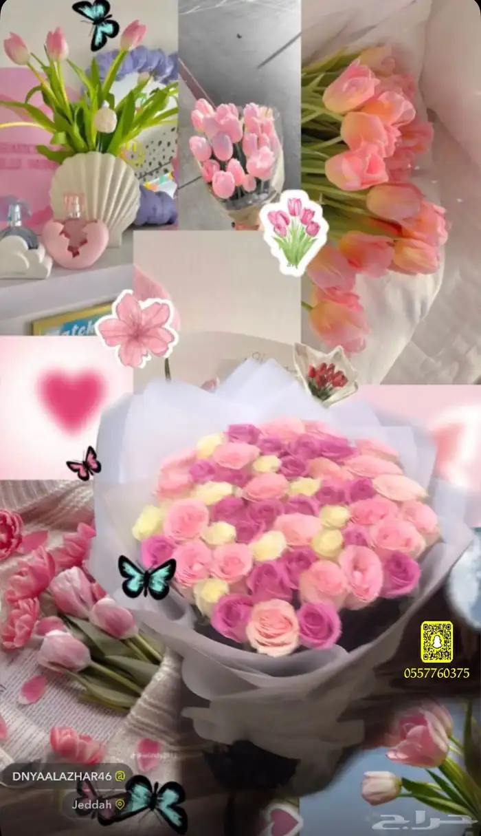 ورود طبيعيه إقتصاديه 2