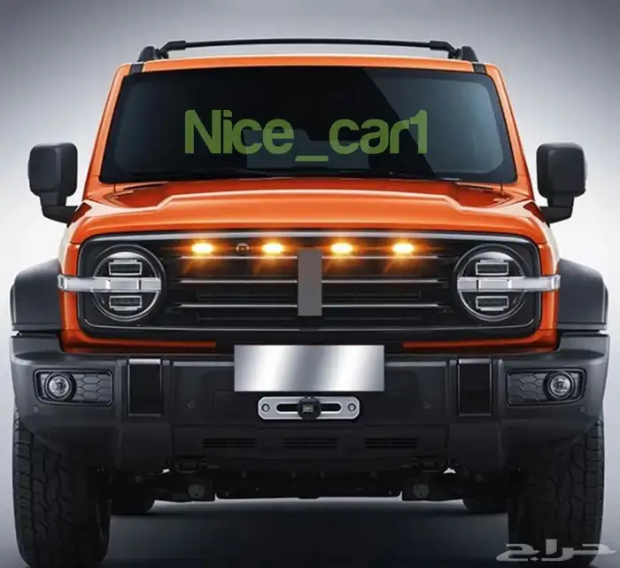 اكسسوارات تانك 300 TANK 2