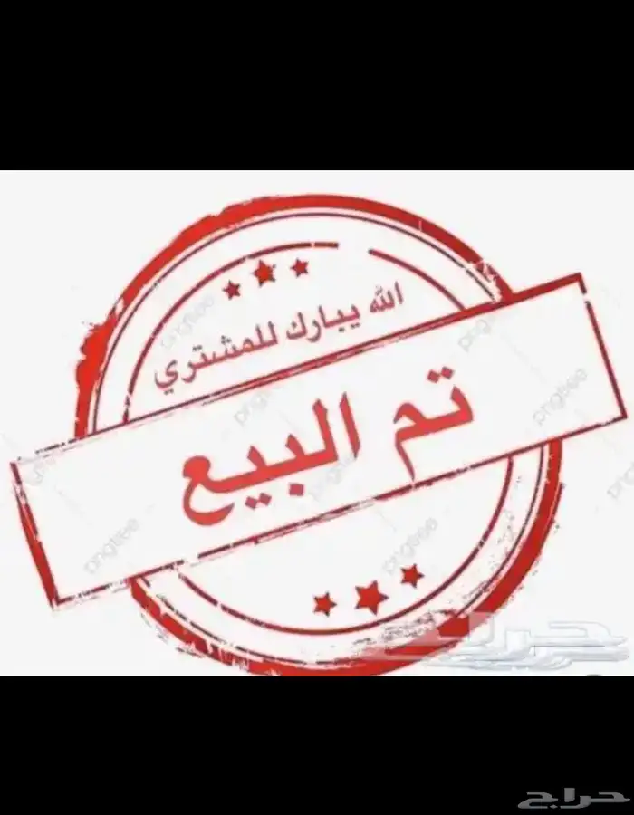 ذكر كناري ستنايت حجم سوبر جامبو(( تم البيع )) 0