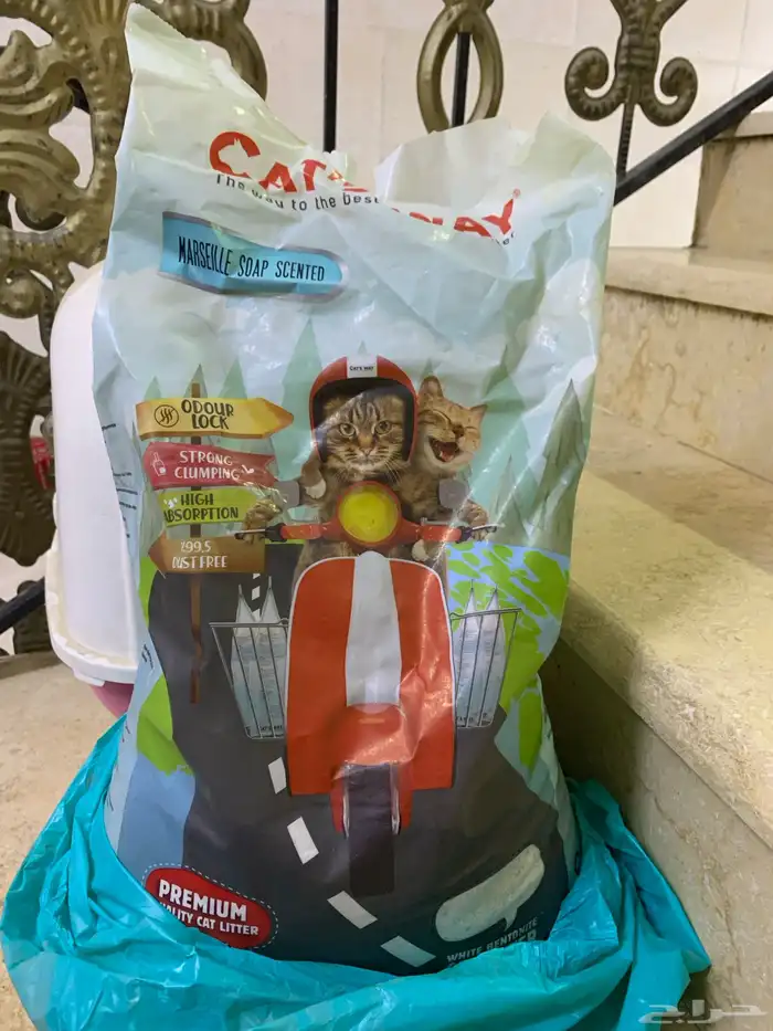 حمام قطط 6