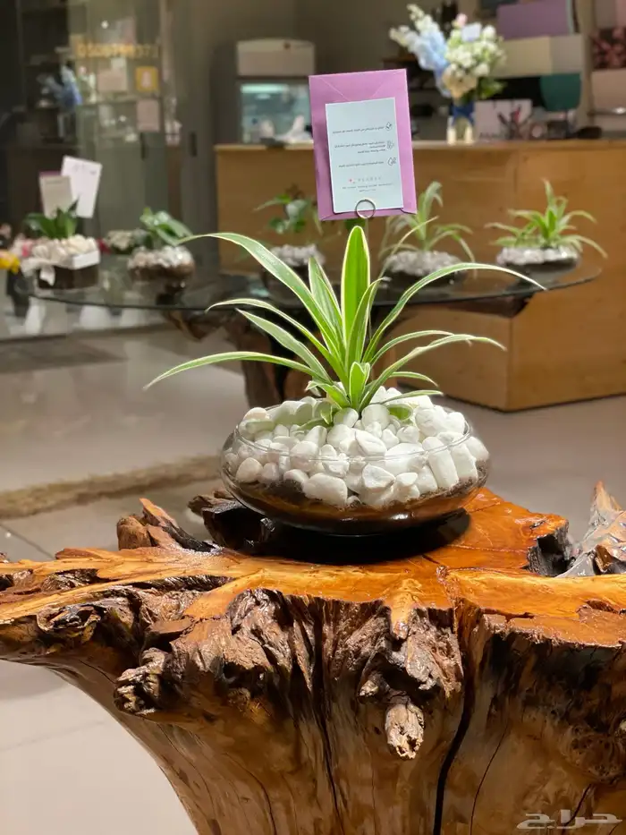 تنسيق هدايا و باقات ورد (نقوة ورد) 94